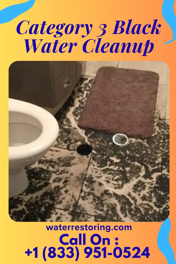 Category 3 Black Water Cleanup in Economy, IN