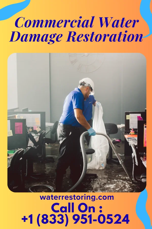 Commercial Water Damage Restoration in Economy, IN