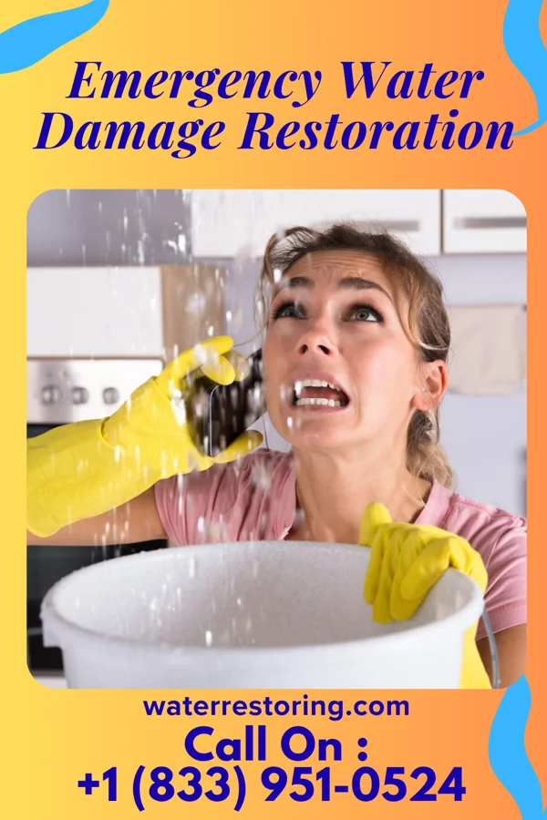 Emergency Water Damage Restoration in Economy, IN