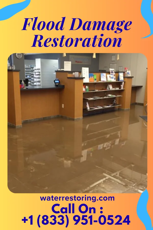 Flood Damage Restoration in Economy, IN