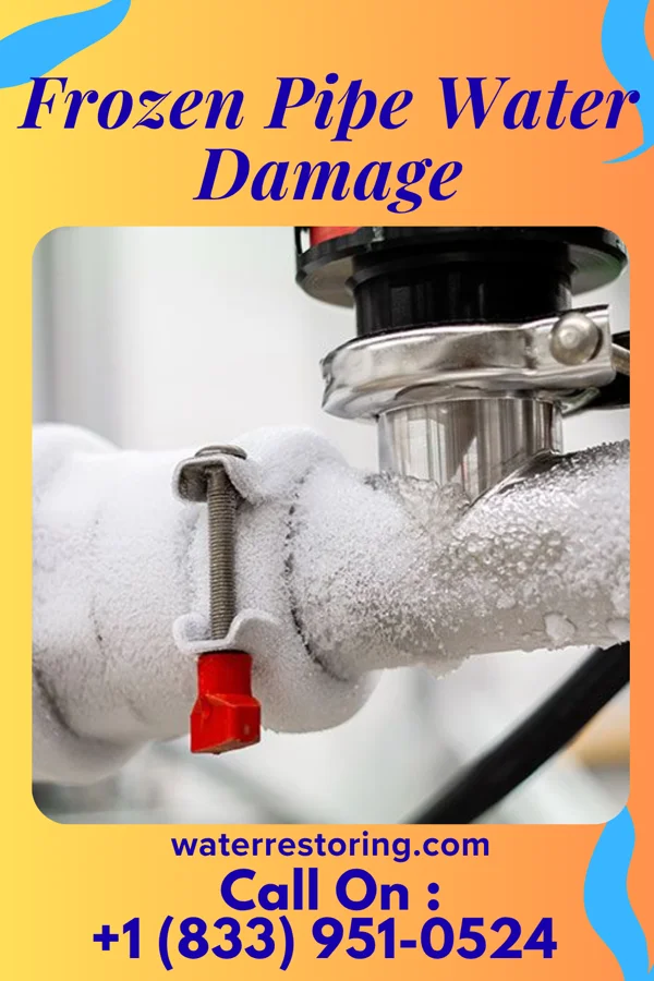 Frozen Pipe Water Damage in Economy, IN