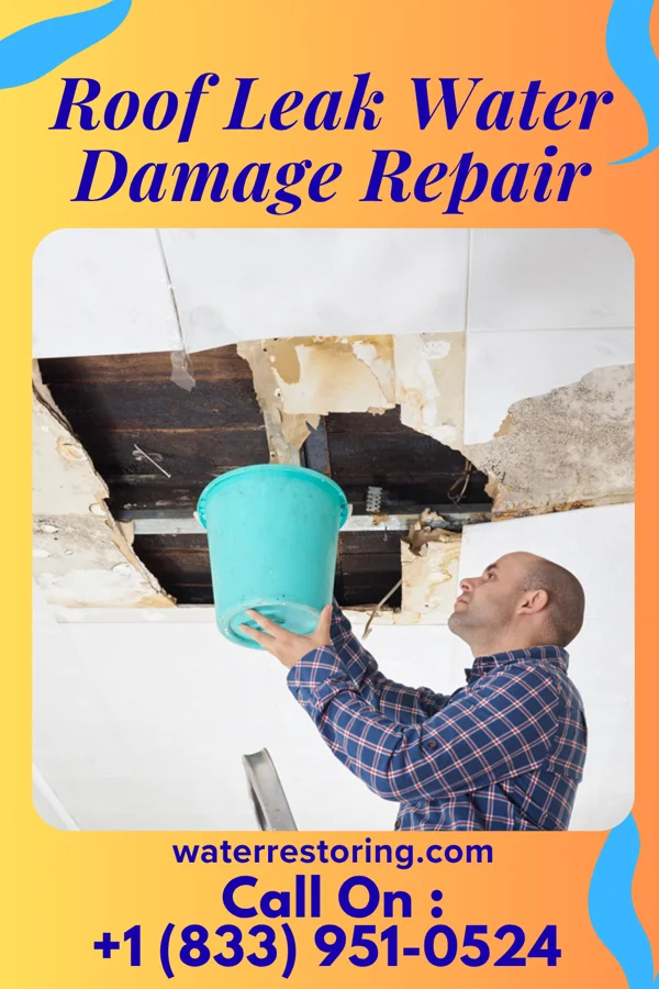 Roof Leak Water Damage Repair in Economy, IN