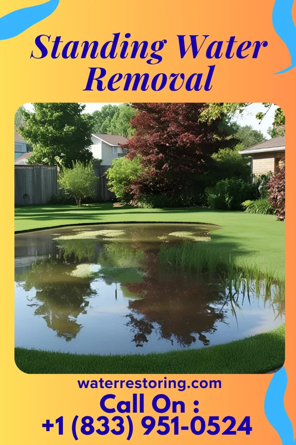 Standing Water Removal in Economy, IN